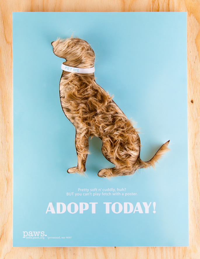 paws poster